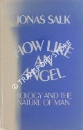 How Like an Angel by SALK, Jonas